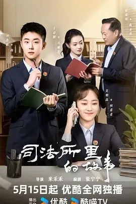 司法所里的故事 电视剧