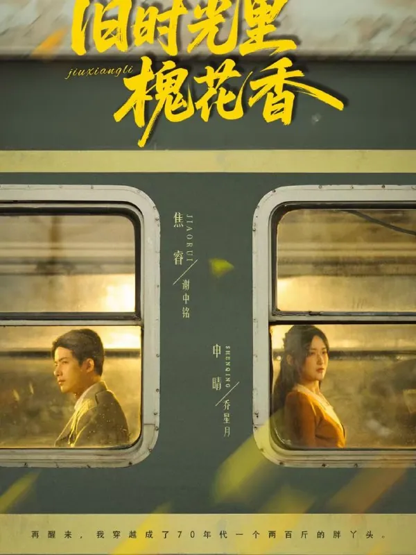 短剧-旧时光里槐花香申晴＆焦睿