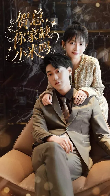 贺总你家缺小米吗 电视剧