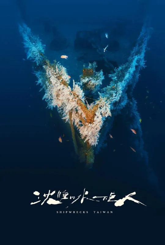 沉睡的水下巨人 纪录片