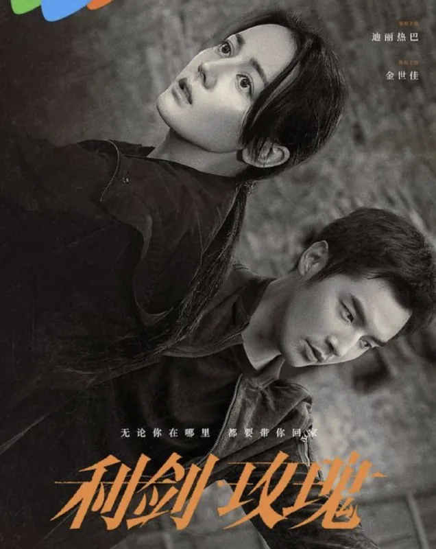 利剑·玫瑰 电视剧