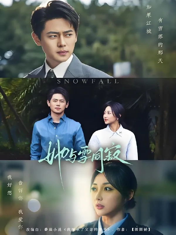 她与雪同寂 电视剧