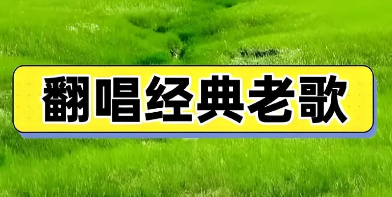 抖音老歌神级翻唱歌曲合集 音乐