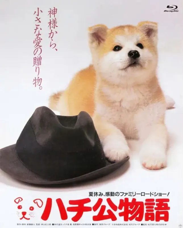 忠犬八公物语 电影