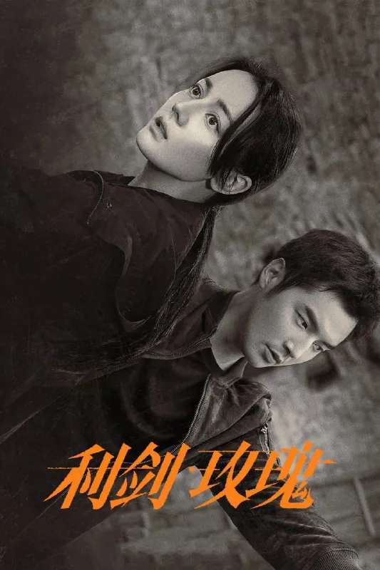 利剑·玫瑰 小说