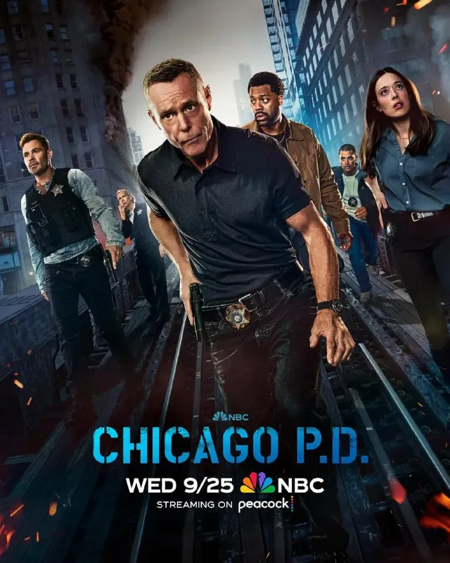 芝加哥警署第十二季 电视剧