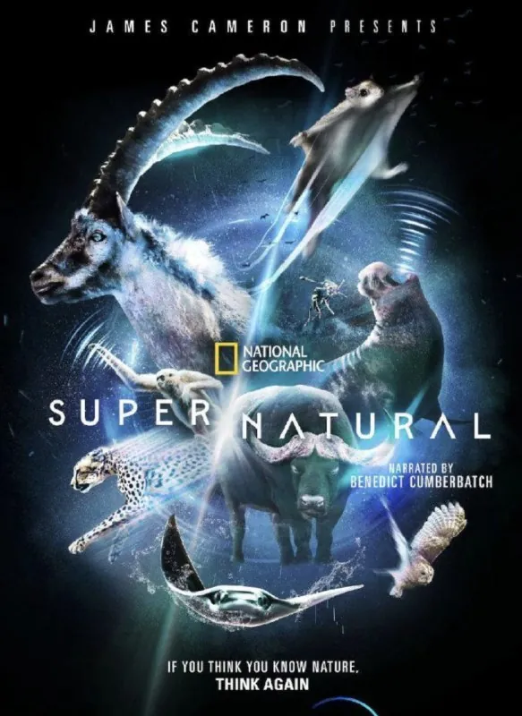 超凡动物奇观 电影