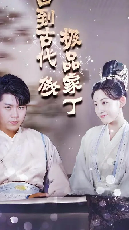 回到古代做极品家丁 电视剧