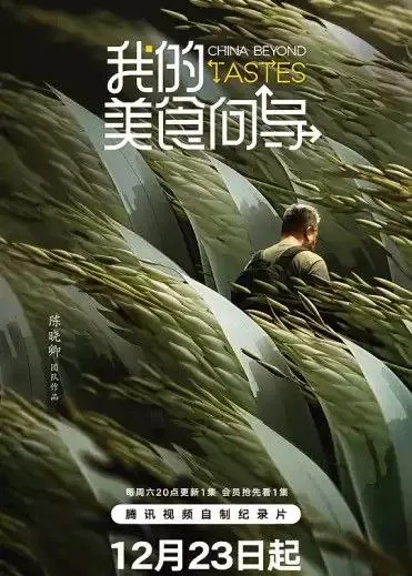 我的美食向导 纪录片