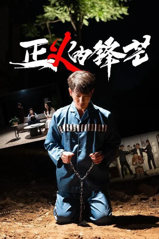 正义的锋芒 电视剧