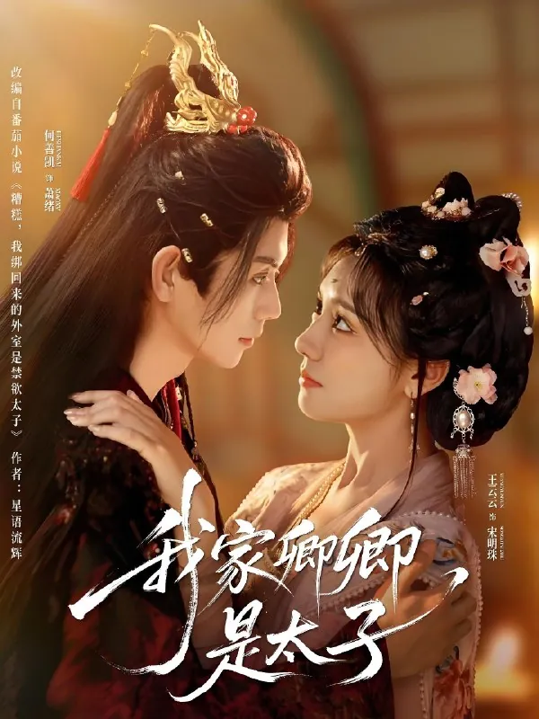 我家卿卿是太子 电视剧