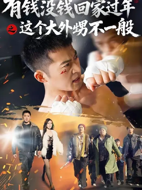 短剧-有钱没钱回家过年之这个大外甥不一般