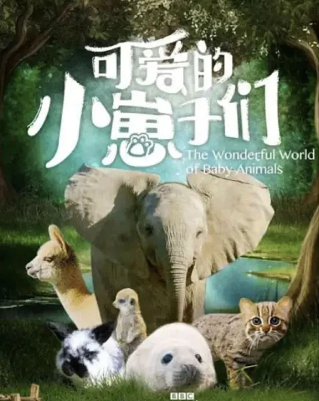 可爱的小崽子们 纪录片