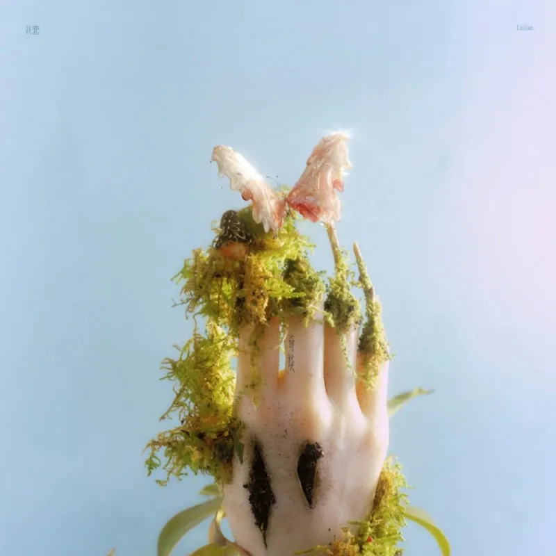 刘恋-奇谈 音乐