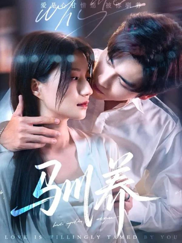 2025年5月30日合集目录8 素材