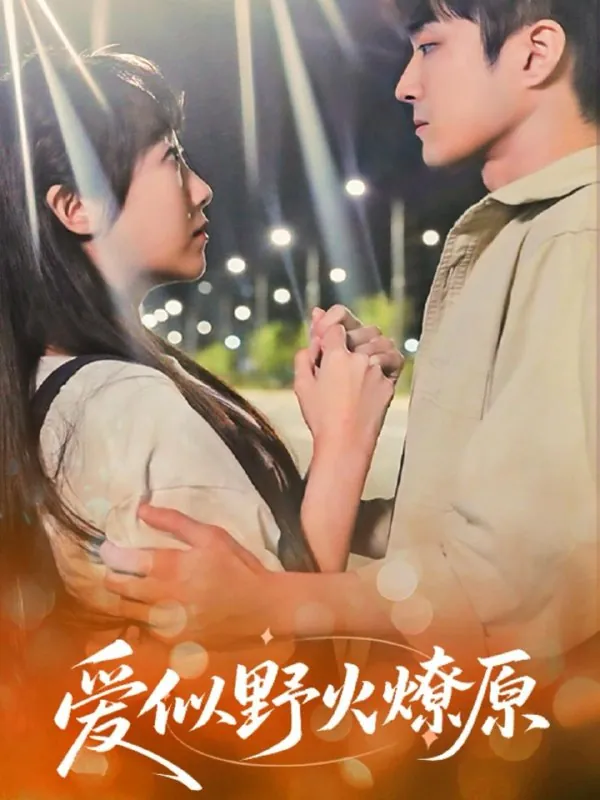 2025年5月28日合集目录7 素材