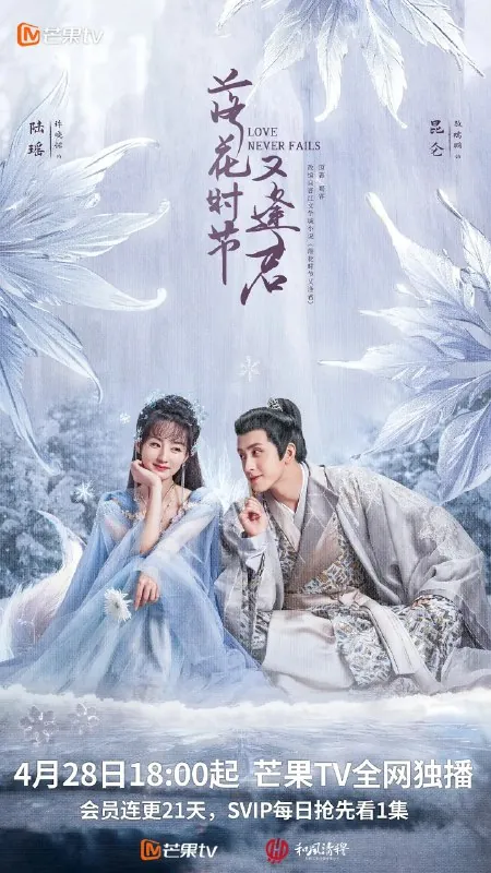 落花时节又逢君 小说