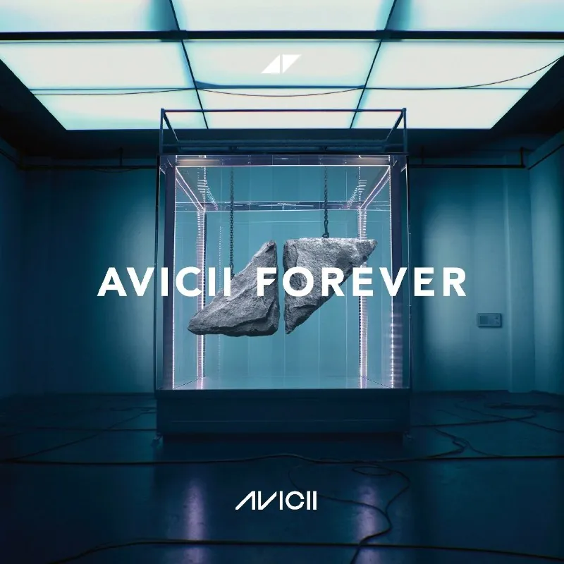 AviciiForever 音乐