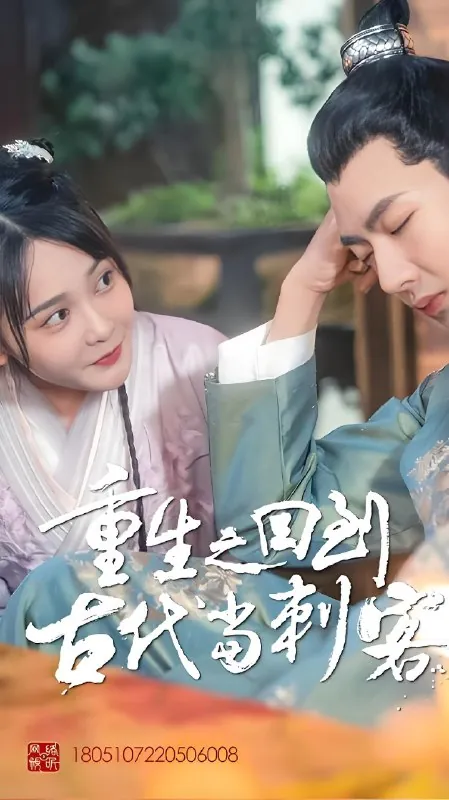 重生之回到古代当刺客 电视剧