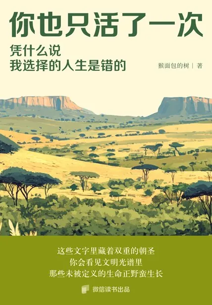你也只活了一次，凭什么说我选择的人生是错的？ 书籍