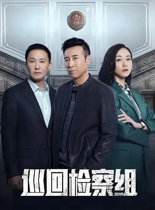 巡回检察组 电视剧