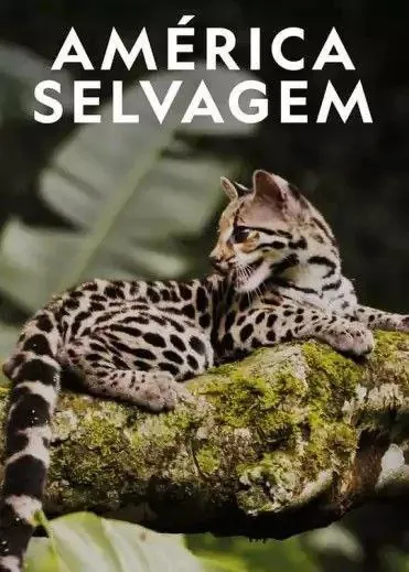 野性美洲 纪录片