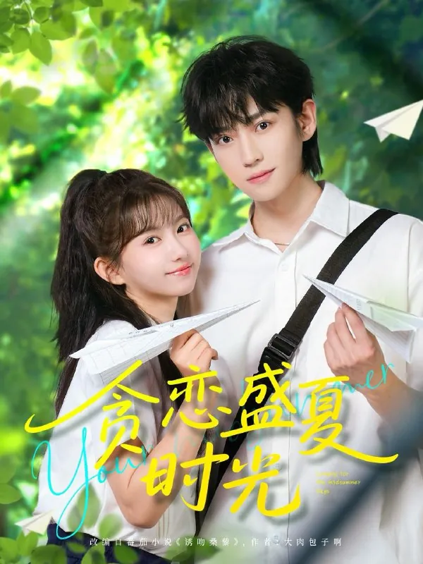 2025年5月15日合集目录5 素材