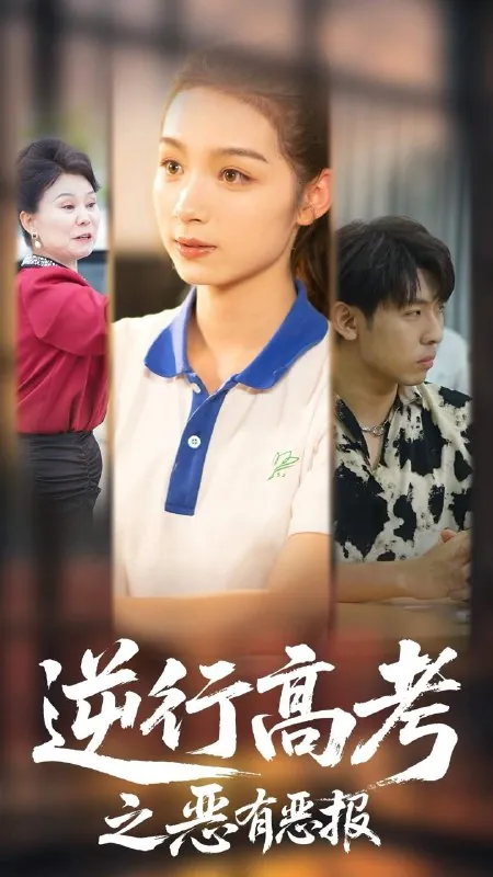 2025年6月8日合集目录6 动画