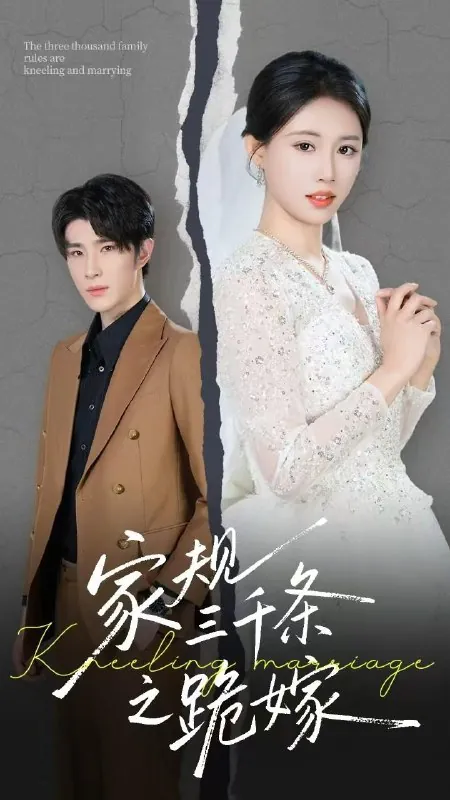 2025年6月13日合集目录6 素材