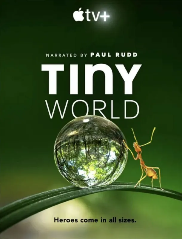 小小世界2季全 纪录片