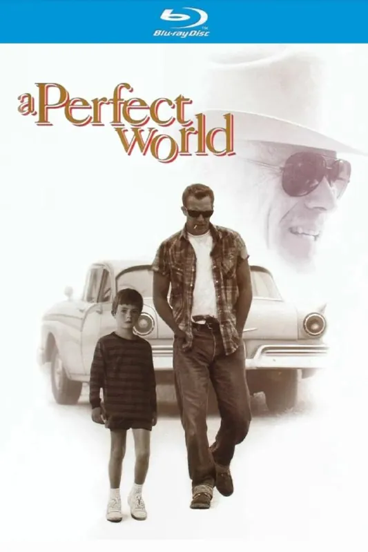 完美的世界 电影