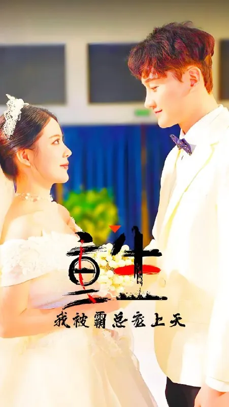 重生我被霸总宠上天 电视剧