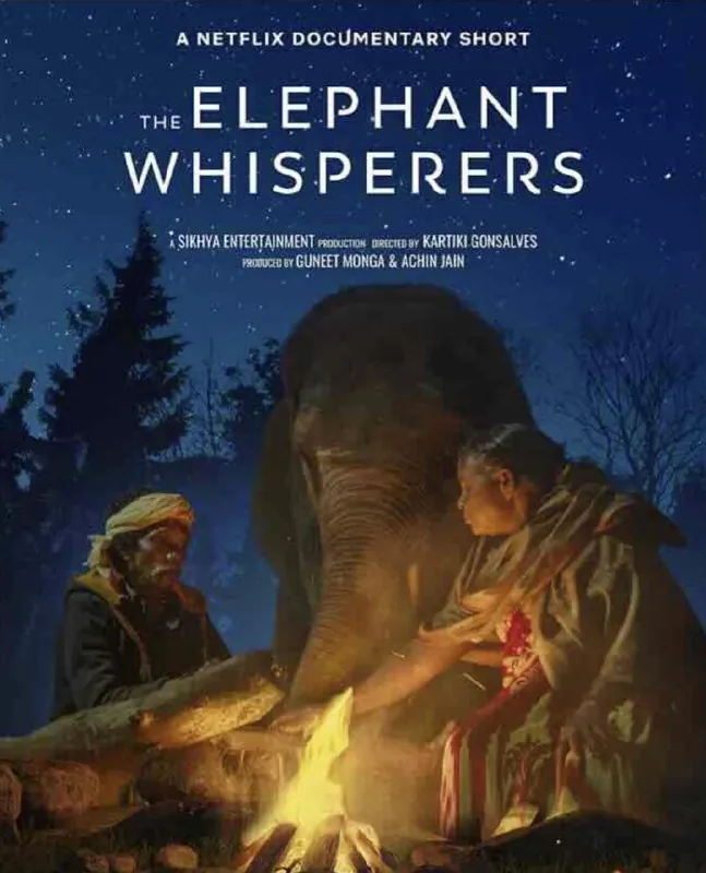 小象守护者 纪录片