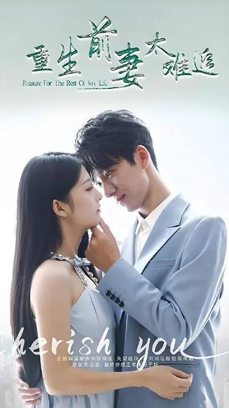 重生前妻太难追 电视剧