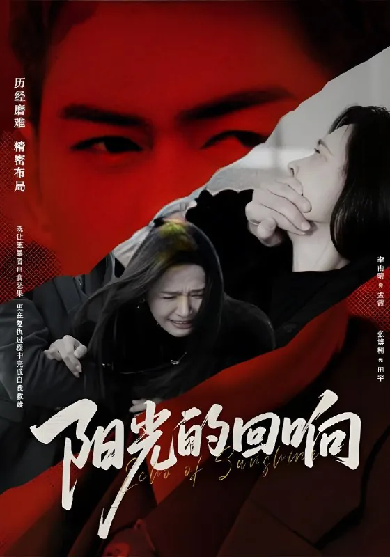 阳光的回响 最新资源