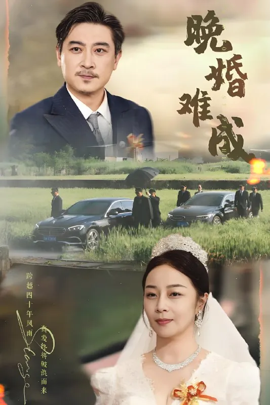 晚婚难成 电视剧