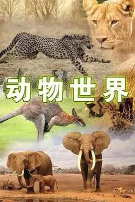 动物世界 纪录片