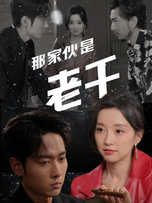 2025年7月4日合集目录7 素材