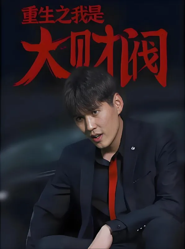 重生之我是大财阀 电视剧