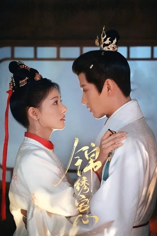 锦绣宅心 电视剧