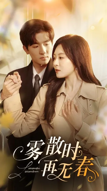 雾散时再无春 电视剧