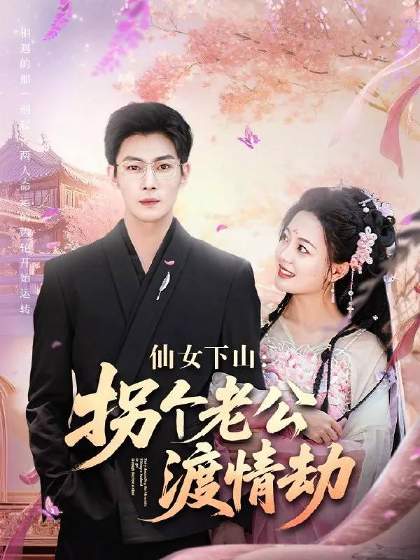 仙女下山拐个老公渡情劫 电视剧