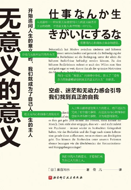 无意义的意义 书籍