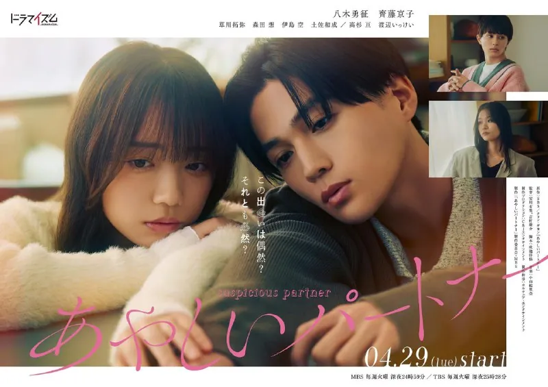 奇怪的搭档 电视剧