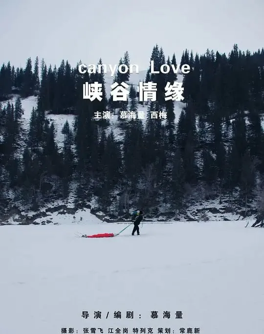 峡谷情缘 电视剧