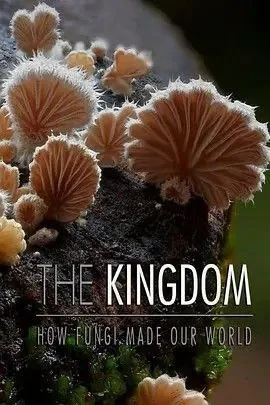 真菌王国 纪录片
