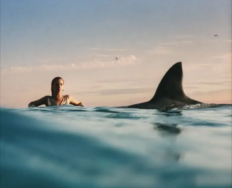 DuaLipa-RadicalOptimism 最新资源