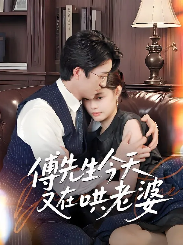 傅先生今天又在哄老婆 电视剧