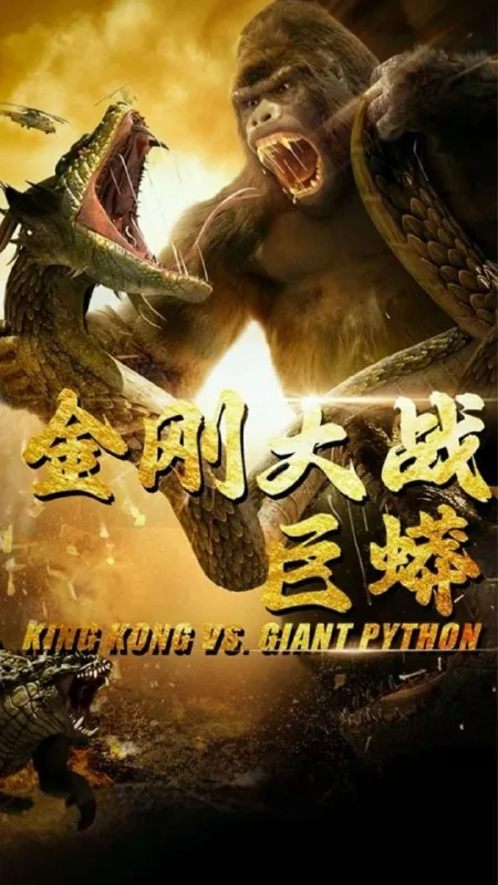 2025年5月23日合集目录8 素材