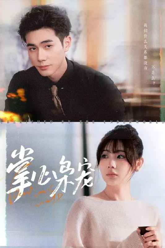 掌心枭宠 电视剧